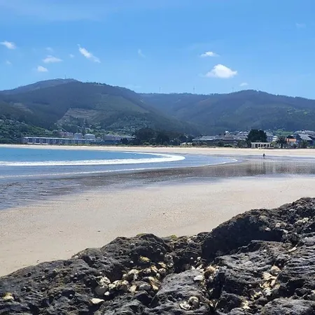 Gaviotas Viveiro