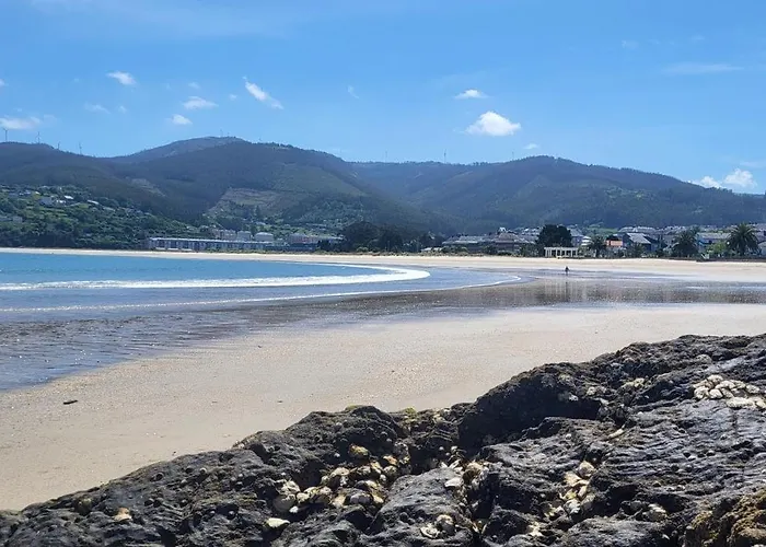 Gaviotas Viveiro