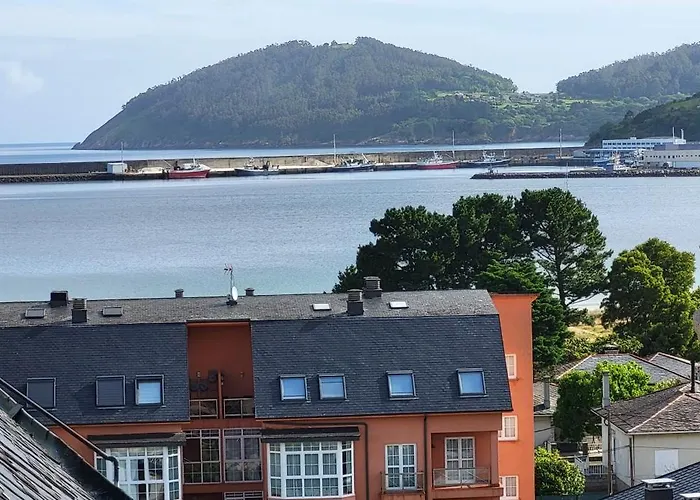 Gaviotas Viveiro